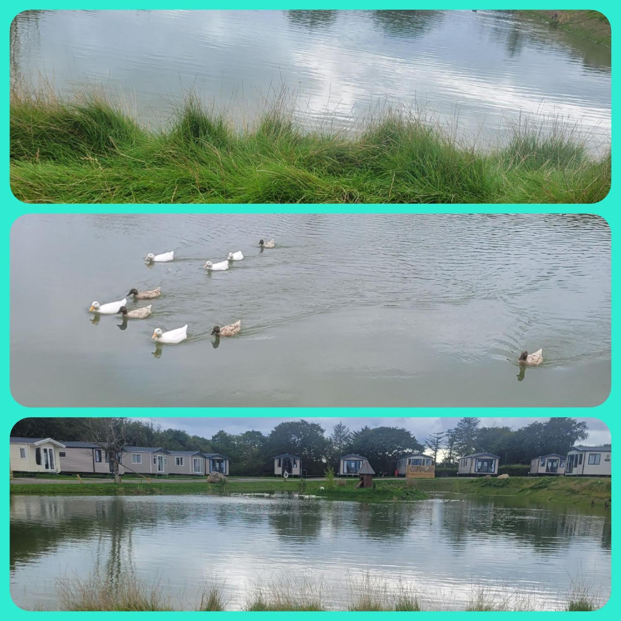 Beautiful 2 Bedroom Caravan, Holiday Park Tenby Saint Florence Dış mekan fotoğraf